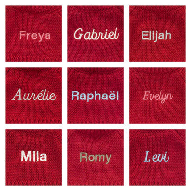 Bashful Giraffe with Personalised Red Jumper